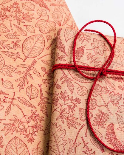 kompostierbares Geschenkpapier Compostella