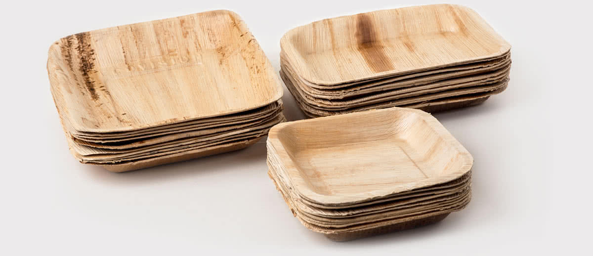Compostable Tableware